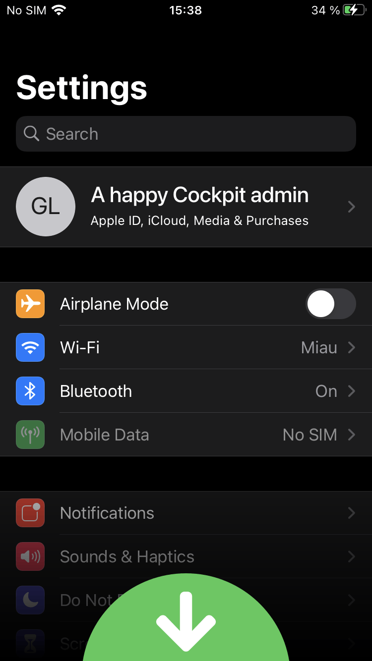 iPhone settings, scrolled mid-way down